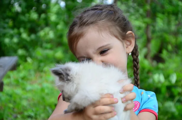 Elinde kedi yavrusu olan küçük bir kız yaklaşıyor. En iyi arkadaşlar. Çocukların evcil hayvanlarla etkileşimi.