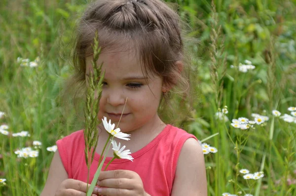 Utomhus Porträtt Söt Leende Liten Flicka Kamomillfält Söt Flicka Med — Stockfoto