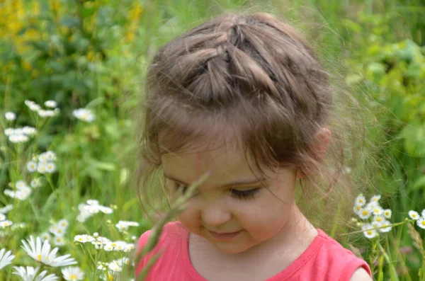 夏日的草地上 一个长着蓝眼睛 花朵和雏菊的可爱的小女孩 一个有着欢乐和探索大自然的小女孩 复制空间 — 图库照片