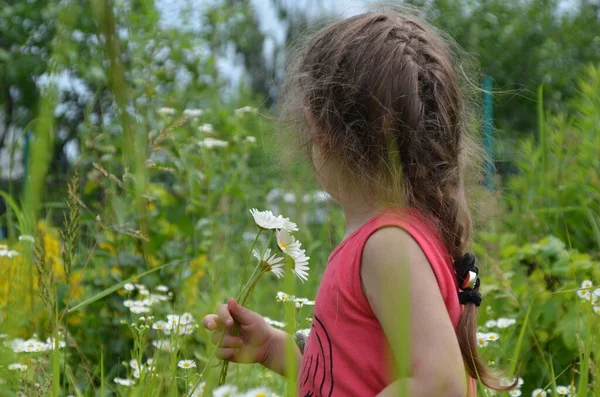 Utomhus Porträtt Söt Leende Liten Flicka Kamomillfält Söt Flicka Med — Stockfoto