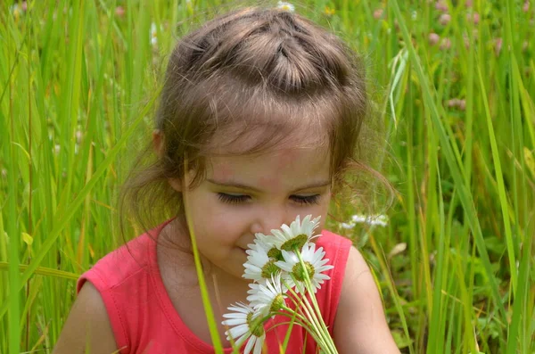 Retrato Livre Bonito Sorrindo Menina Campo Camomila Menina Adorável Com — Fotografia de Stock