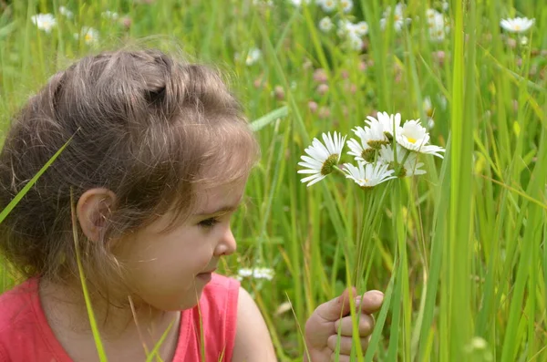 Retrato Livre Bonito Sorrindo Menina Campo Camomila Menina Adorável Com — Fotografia de Stock