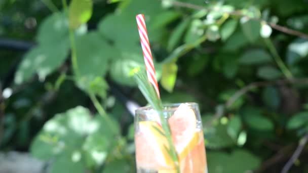 Ragazza fa e beve Dieta. Mangiare sano Donna Bere fresco rosmarino crudo pompelmo acqua Detox Succo vegetale. Stile di vita sano, cibo e pasto vegetariano. Bevi Smoothie. Concetto nutrizionale. — Video Stock