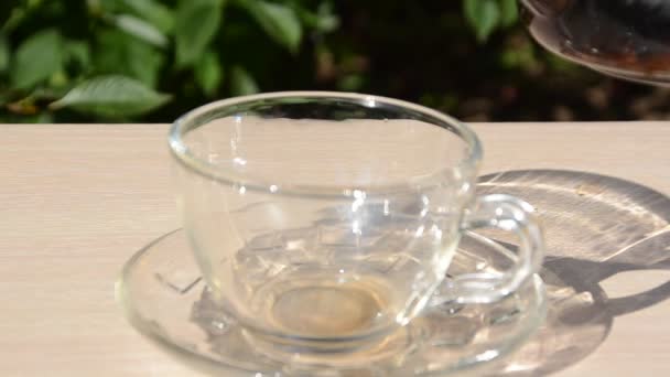 Een meisje giet thee uit een transparante theepot in een doorzichtige beker tegen een achtergrond van groen gebladerte Goedemorgen, outdoor cafe, energie boost. Thee die in glazen thee wordt gegoten — Stockvideo