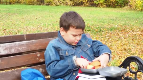 Крупный план маленького школьника, сидящего на скамейке в парке и открывающего школьный рюкзак во время обеденного перерыва. съесть сэндвич из коробки с обедом — стоковое видео