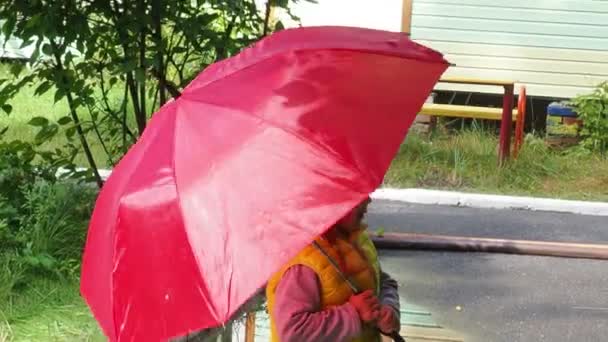Kleines lustiges Mädchen spaziert im Regen mit rotem Regenschirm, in grünen Gummistiefeln durch die Pfützen. Lacht, hat Spaß. Mädchen im gelben wasserdichten Mantel spielt an einem warmen Herbst- oder Sommertag — Stockvideo