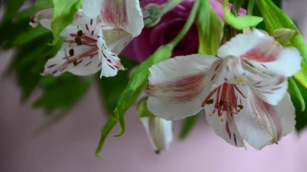 Bukiet kwiatów: piękny jasny alstromeria na białym różowym tle widok z góry — Wideo stockowe