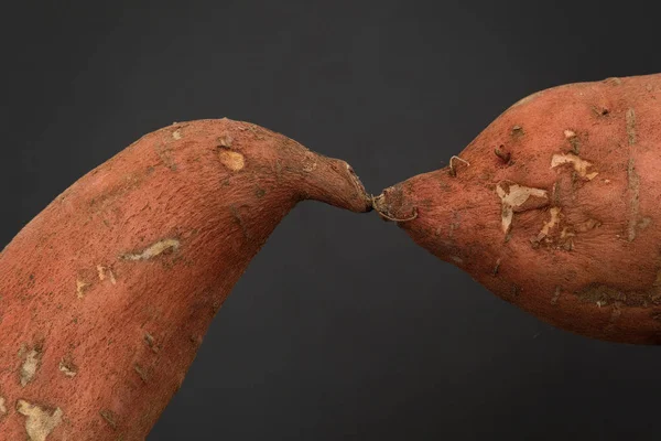 Two Sweet Potatoes Kissing on plain background