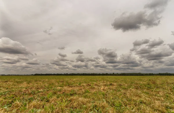 Empty meadow field — Stock Photo, Image