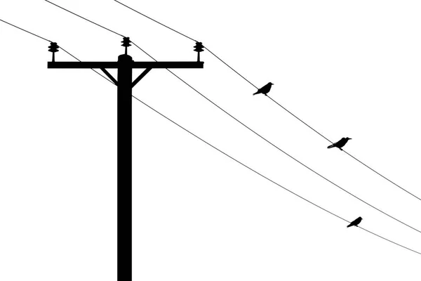 Telegrafní Sloup Třemi Ptáky Dráty Silueta — Stock fotografie