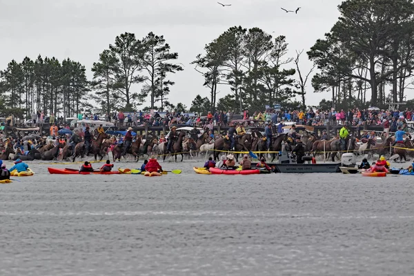 Chincoteague Virginia Juli 2018 Simma Vilda Ponnyer Till Chincoteague Island — Stockfoto