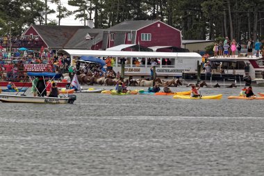 Chincoteague, Virginia - 25 Temmuz 2018: Yabani midilliler Assateague Adası'ndan Chincoteague adaya yüzmek. Bu gönüllü yangın şirket için para toplamak için yıllık bir olaydır.  