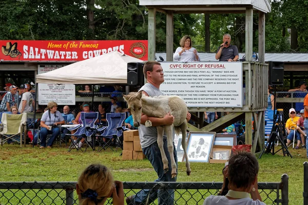 钦科蒂格 弗吉尼亚 2018年7月26日 阿萨蒂格岛的野生小马在拍卖会上出售 一些小马被捐赠回消防公司 并返回阿萨蒂格 以补充羊群 这是一年一度的活动 筹集资金 — 图库照片