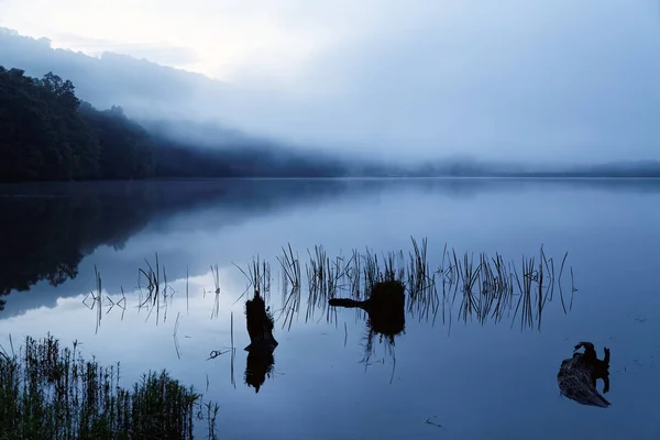 Туманний ранок на озеро сарана State Park — стокове фото