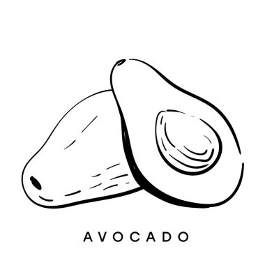 Avokado. Siyah ve beyaz eskiz. Vektör çizim. Tropikal meyve izole Illustration. Gıda.