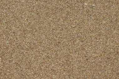 Islak kum plaj. Arka plan, doku.