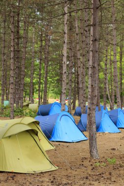 Kamp. Orman. Çadır kent. Turizm