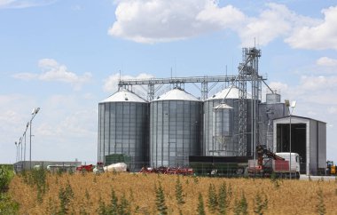 Tarım teknolojisi. Tahıl depolama depo gözlerinde. Asansör alanında. Hasat