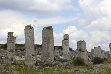 Bulgaristan'ın taş orman. Antik büyük taşlar denizin dibinde bir zamanlar.