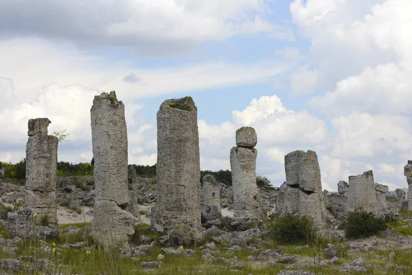 Bulgaristan'ın taş orman. Antik büyük taşlar denizin dibinde bir zamanlar.