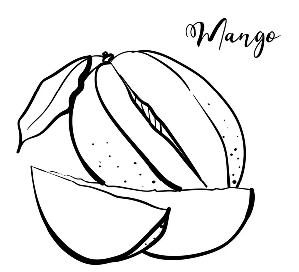 マンゴーのスケッチ エキゾチックなフルーツの黒と白のベクトル イラスト — ストックベクタ