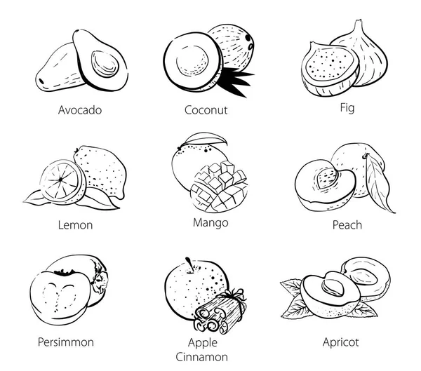 Set of vector linear black and white doodles of food sketches: persimmon, coconut, avocado, mango, peach, apricot, dried apricots, cinnamon, figs, lemon. Isolated hand drawn food image on white background. Diet, vitamins, healthy and organic food — Stock Illustration Set Vector Linear Black White Doodles Food Sketches Persimmon Coconut Royalty Free Stock Illustrations