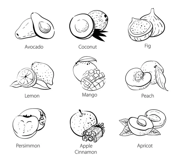料理スケッチのベクトルの線形黒と白いたずら書きのセット ココナッツ アボカド マンゴー アプリコット 乾燥アプリコット シナモン イチジク レモン 分離の手は — ストックベクタ