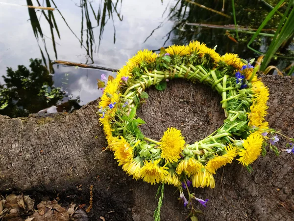 Dandelion wreath lies on the banks of the river. Spring wreath of flowers at the pond. Natural yellow wreath. Summer
