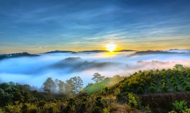 Hillside güneşin ufuk olarak üzerinde gündoğumu yansıtan ışık parlak sarı gökyüzü. Bulutlu sis kaplı vadiler sular altında çam ormanlar etkileyici güzellik highlands sabah oluşturmak.