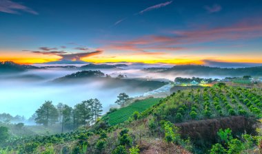 Hillside güneşin ufuk olarak üzerinde gündoğumu yansıtan ışık parlak sarı gökyüzü. Bulutlu sis kaplı vadiler sular altında çam ormanlar etkileyici güzellik highlands sabah oluşturmak.