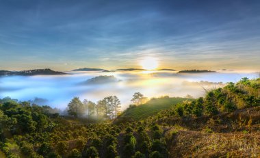 Hillside güneşin ufuk olarak üzerinde gündoğumu yansıtan ışık parlak sarı gökyüzü. Bulutlu sis kaplı vadiler sular altında çam ormanlar etkileyici güzellik highlands sabah oluşturmak.
