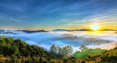 Hillside güneşin ufuk olarak üzerinde gündoğumu yansıtan ışık parlak sarı gökyüzü. Bulutlu sis kaplı vadiler sular altında çam ormanlar etkileyici güzellik highlands sabah oluşturmak.