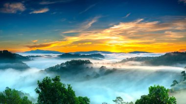Hillside güneşin ufuk olarak üzerinde gündoğumu yansıtan ışık parlak sarı gökyüzü. Bulutlu sis kaplı vadiler sular altında çam ormanlar etkileyici güzellik highlands sabah oluşturmak.