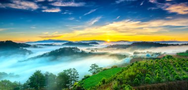 Hillside güneşin ufuk olarak üzerinde gündoğumu yansıtan ışık parlak sarı gökyüzü. Bulutlu sis kaplı vadiler sular altında çam ormanlar etkileyici güzellik highlands sabah oluşturmak.