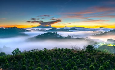 Hillside güneşin ufuk olarak üzerinde gündoğumu yansıtan ışık parlak sarı gökyüzü. Bulutlu sis kaplı vadiler sular altında çam ormanlar etkileyici güzellik highlands sabah oluşturmak.