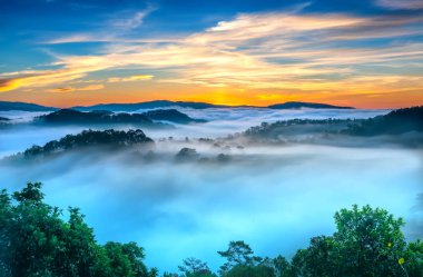 Hillside güneşin ufuk olarak üzerinde gündoğumu yansıtan ışık parlak sarı gökyüzü. Bulutlu sis kaplı vadiler sular altında çam ormanlar etkileyici güzellik highlands sabah oluşturmak.