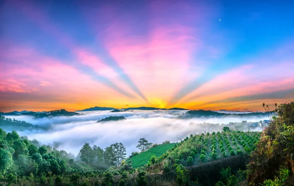 Sonnenaufgang Auf Dem Plateau Wenn Sonnenschein Schöne Sonnenstrahlen Erzeugt Wolken — Stockfoto