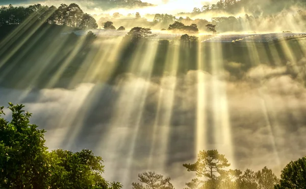 Hermoso Amanecer Través Niebla Con Largas Sombras Rayos Sol — Foto de Stock