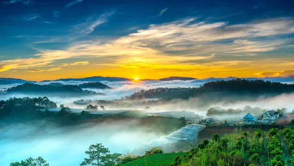 日出越过山坡 太阳从地平线升起 折射出明亮的黄色天空 下面多云薄雾覆盖山谷淹没松树森林创造令人印象深刻的美丽高地早晨 — 图库照片