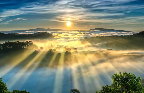 Sonnenaufgang Über Dem Hang Ein Kiefernwald Mit Langen Sonnenstrahlen Durch — Stockfoto