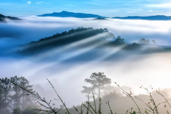 Schöner Sonnenaufgang Durch Den Nebel Mit Langen Schatten Und Sonnenstrahlen — Stockfoto