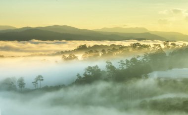 Dawn on plateau in morning with colorful sky, while sun rising from horizon shines down to small village covered with fog shrouded  landscape so beautiful idyllic countryside Dalat plateau, Vietnam clipart