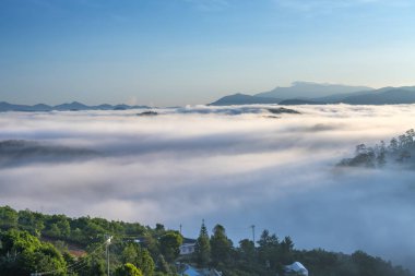 Şafak sis ile kaplı yayla çam ormanlar çok güzel pastoral kırsal Dalat Yaylası, Vietnam kefen