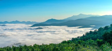 Kurtlar Vadisi bulutlar harika pastoral Dalat, Vietnam dağlarında yüzer gibi manzara sabah sis kaplı