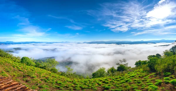 Landschaft Morgennebel Bedeckte Das Tal Wie Wolken Die Wunderschönen Idyllischen — Stockfoto