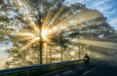 Da Lat, Vietnam - 13 Mayıs 2018: motosiklet, çam ormanları sisli güzel yolda parlayan güneş ışınlarının ile yolda sürüş bu Da Lat Yaylası, Vietnam güzel yola çıktı.