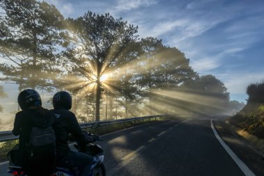 Da Lat, Vietnam - 13 Mayıs 2018: motosiklet, çam ormanları sisli güzel yolda parlayan güneş ışınlarının ile yolda sürüş bu Da Lat Yaylası, Vietnam güzel yola çıktı.