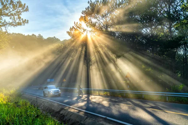 ダラット ベトナム 2018 霧の美しい道を照らす光と 松の森の国アスファルト道路上の運転の車 これはベトナム ダラット高原の美しい道路です — ストック写真