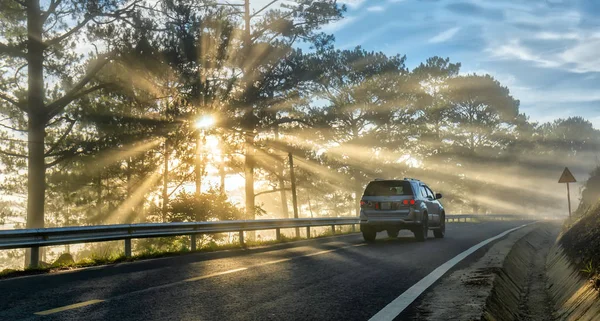 ダラット ベトナム 2018 霧の美しい道を照らす光と 松の森の国アスファルト道路上の運転の車 これはベトナム ダラット高原の美しい道路です — ストック写真