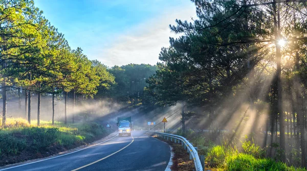 ダラット ベトナム 2018 霧の美しい道を照らす光と 松の森の国アスファルト道路上の運転の車 これはベトナム ダラット高原の美しい道路です — ストック写真